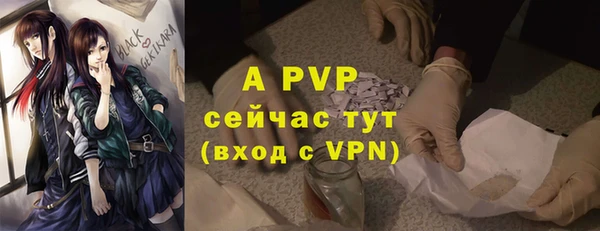 меф Вяземский