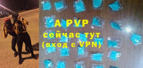 ПСИЛОЦИБИНОВЫЕ ГРИБЫ Вязьма