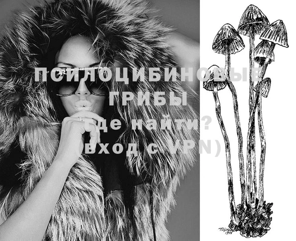 меф Вяземский