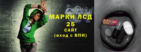 ПСИЛОЦИБИНОВЫЕ ГРИБЫ Вязьма