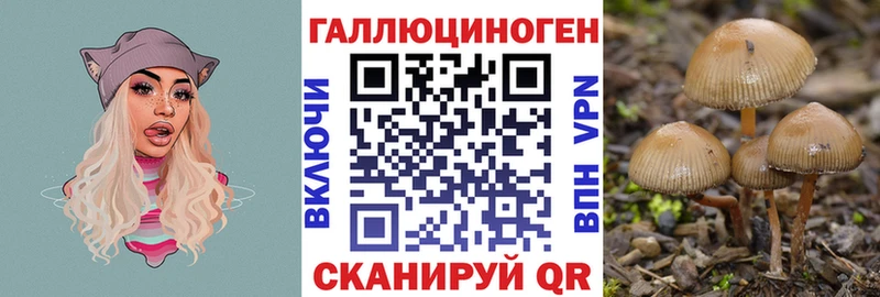 дарк нет формула  закладки  Архангельск  Галлюциногенные грибы прущие грибы  МЕГА ONION 